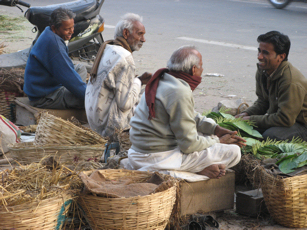 visi sereni in India