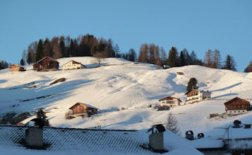 Selva in una splendida giornata